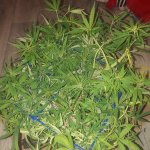 20181228_002010.jpg