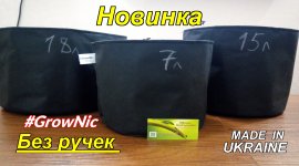 новый.jpg