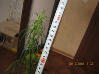 IMG_1265.JPG