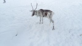 DSC_9946.JPG
