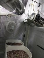 IMG_20181231_170535.jpg