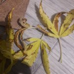 20181222_220457.jpg