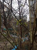7E54ACB7-D707-423D-A0DB-1F62A4447A3D.jpeg