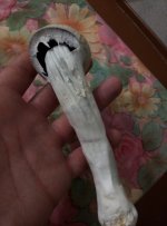 IMG_20181227_235929_273.jpg