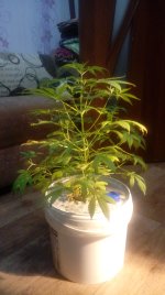 20190111_065032.jpg