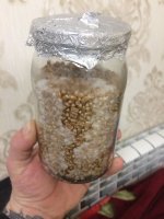 B74FA887-1918-4387-BE3C-2D4AD494E5CC.jpeg
