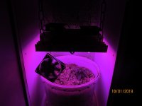 IMG_8458.JPG