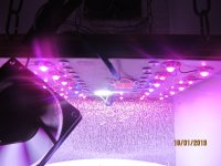 IMG_8459.JPG