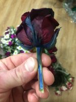 35A0C6C5-5813-4517-ADDB-E5583673BD6F.jpeg
