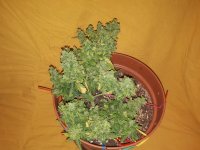 20190124_214524[1].jpg