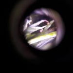 20190125_154330.jpg