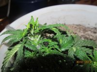 IMG_8463.JPG