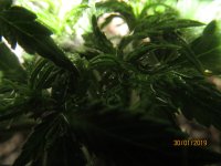 IMG_8465.JPG