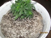 IMG_8470.JPG