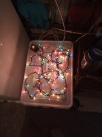 IMG_20190201_134708.jpg