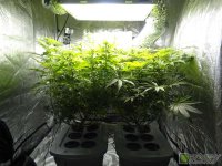 1 98a7a59b-3246-42d0-81b1-6068cc9d5c44.jpg