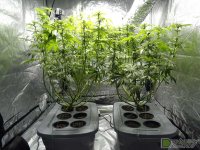 3 6fd566f4-69ff-4549-b4ed-c841c46c1f0b.jpg