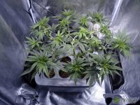 4 Вид сверху – до и после 2.jpg