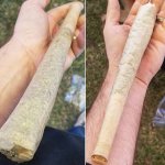 9 https twitter.com threealight.jpg