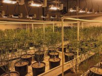 11 45835841 256278978395178 6670898016074055926 n.jpg