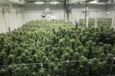 13 39522207 2060052994323584 6508303478526312448 n.jpg