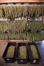 15 DsEI7KXVAAAHvEP.jpg large.jpg