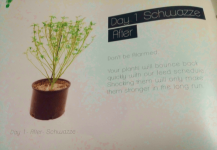 16 2017-02-16 58a515e14bf17 ScreenShot2017-02-15at9.55.06PM.png