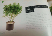 17 2017-02-16 58a515e14bfc9 ScreenShot2017-02-15at9.55.26PM.png