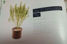 18 2017-02-16 58a515e14c088 ScreenShot2017-02-15at9.55.55PM.png