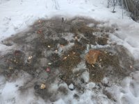 IMG_20190207_124018.jpg