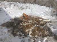 IMG_20190207_124057.jpg