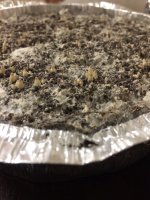 333EAE7C-3E00-4041-AC07-4BD783CB4C18.jpeg