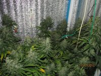IMG_0023.JPG