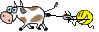 cowplay.gif