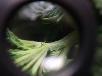 DSCF4170.JPG