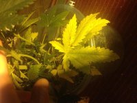 IMG_0430.JPG
