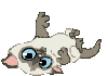 animashka58.gif