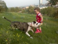 2012-07-14-540.jpg