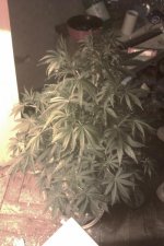 IMAG0292.jpg