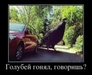 foto02l3_15.jpg