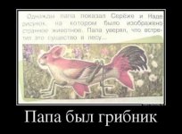 foto31u3_17.jpg