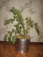 IMG_0139.JPG