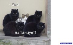 1247135326_12_funcat_kolomensky_com.jpg