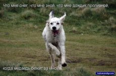 1247135279_2_funcat_kolomensky_com.jpg
