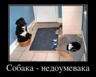 1327025306_7jn49opqrtahv85.jpeg