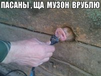 -PePtOzrKPA.jpg