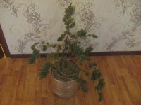 IMG_0204.JPG