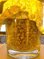 IMG_0759.jpeg