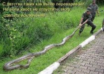 83755028_kotomatricy_1_1093579.jpg