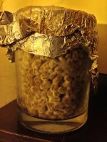 IMG_0897.jpeg